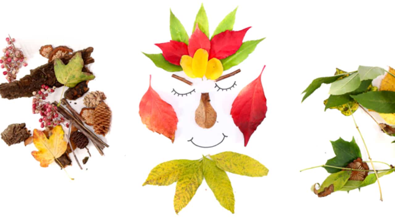 Fall Leaf Face Craft.