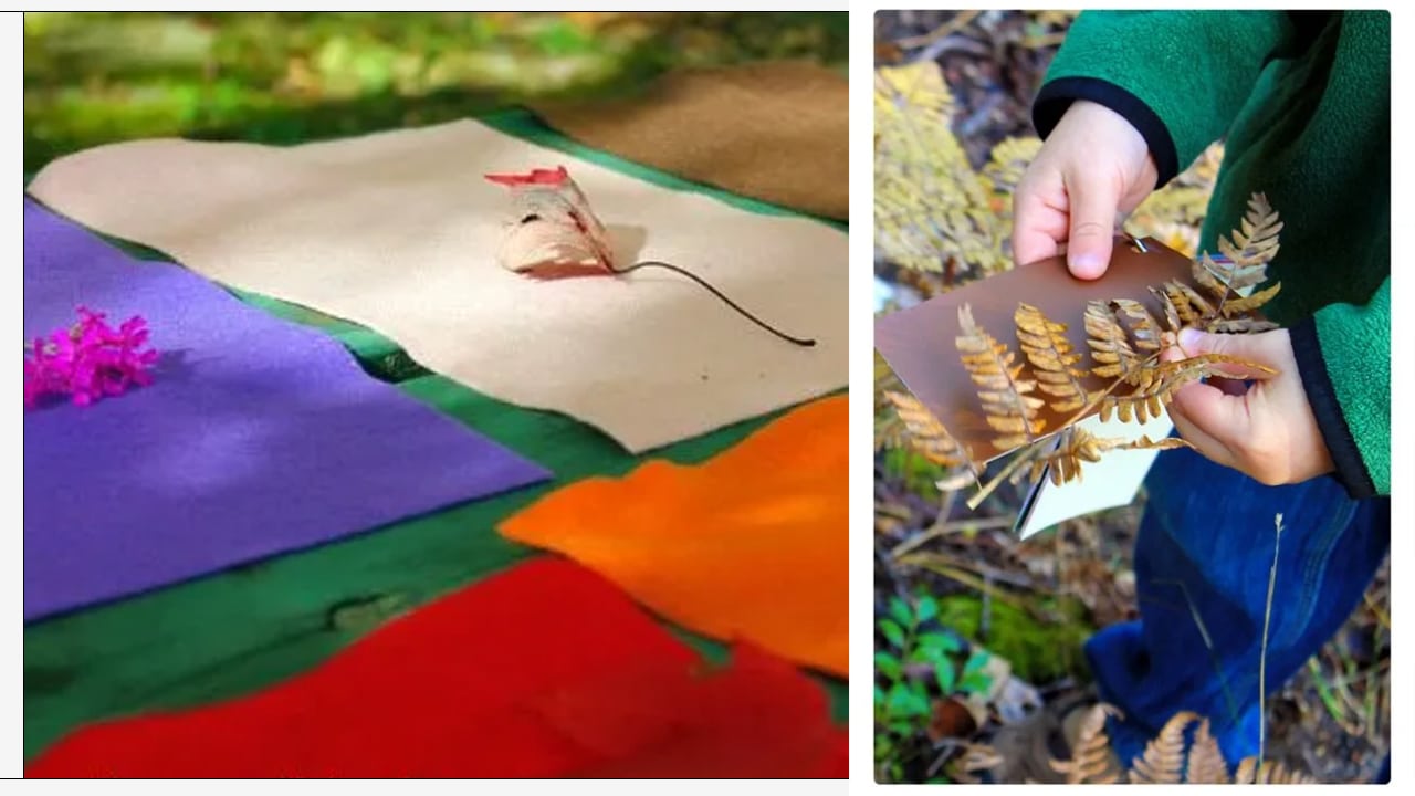 Learning Colors Through Nature.