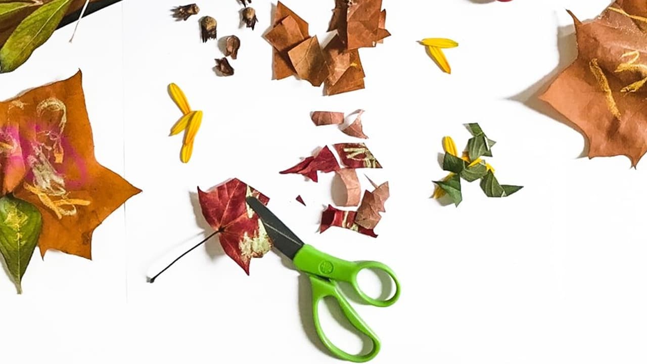 Mouse Mail A Simple Nature Activity for Preschoolers.