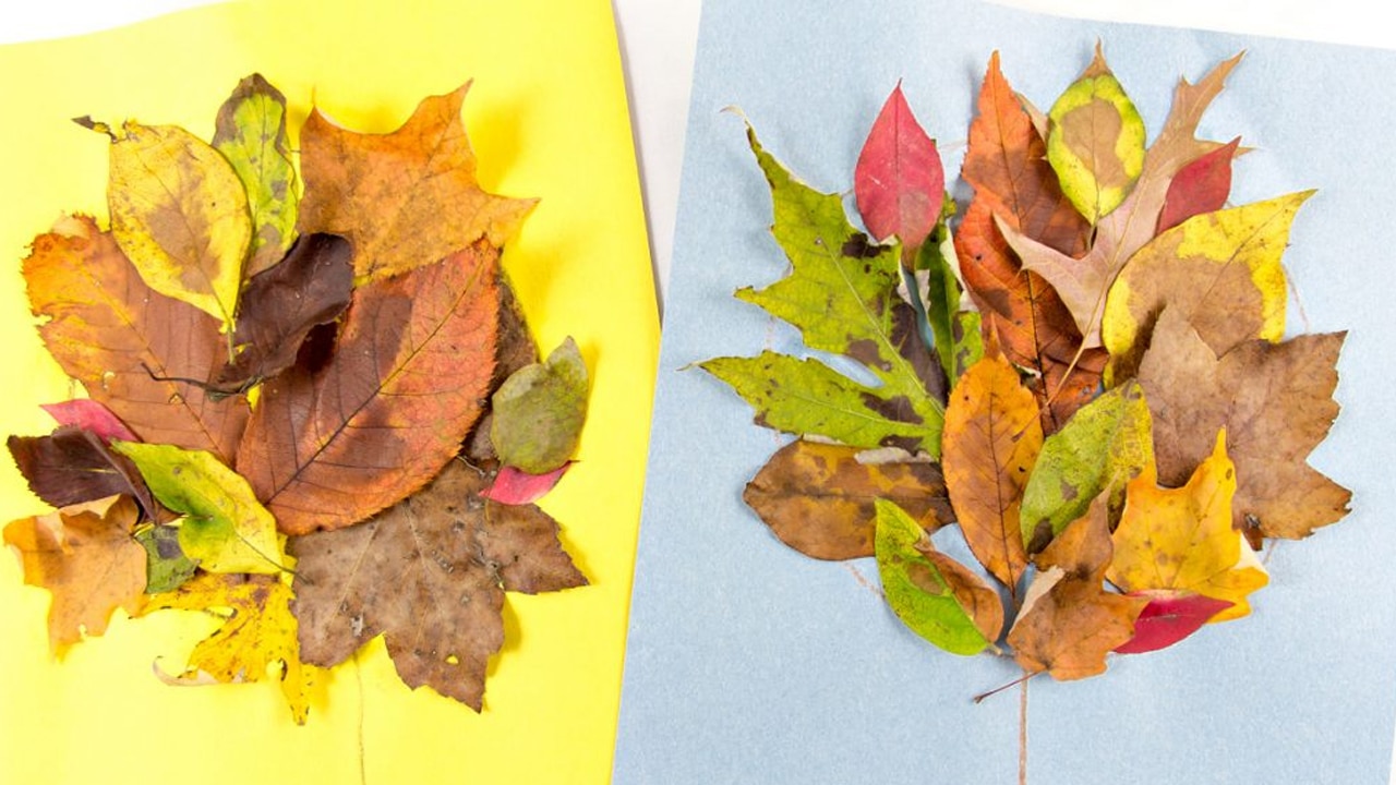 Preschool Tree Craft Using Fall Leaves.