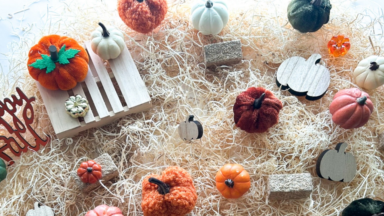 Pumpkin Patch Matching Game.