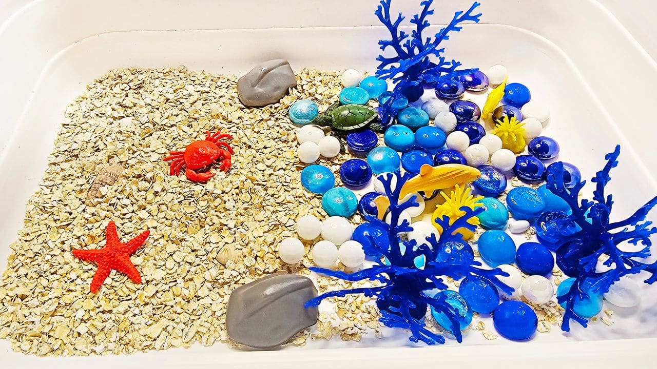 Beach Sensory Bin: A Shoreline Adventure at Home