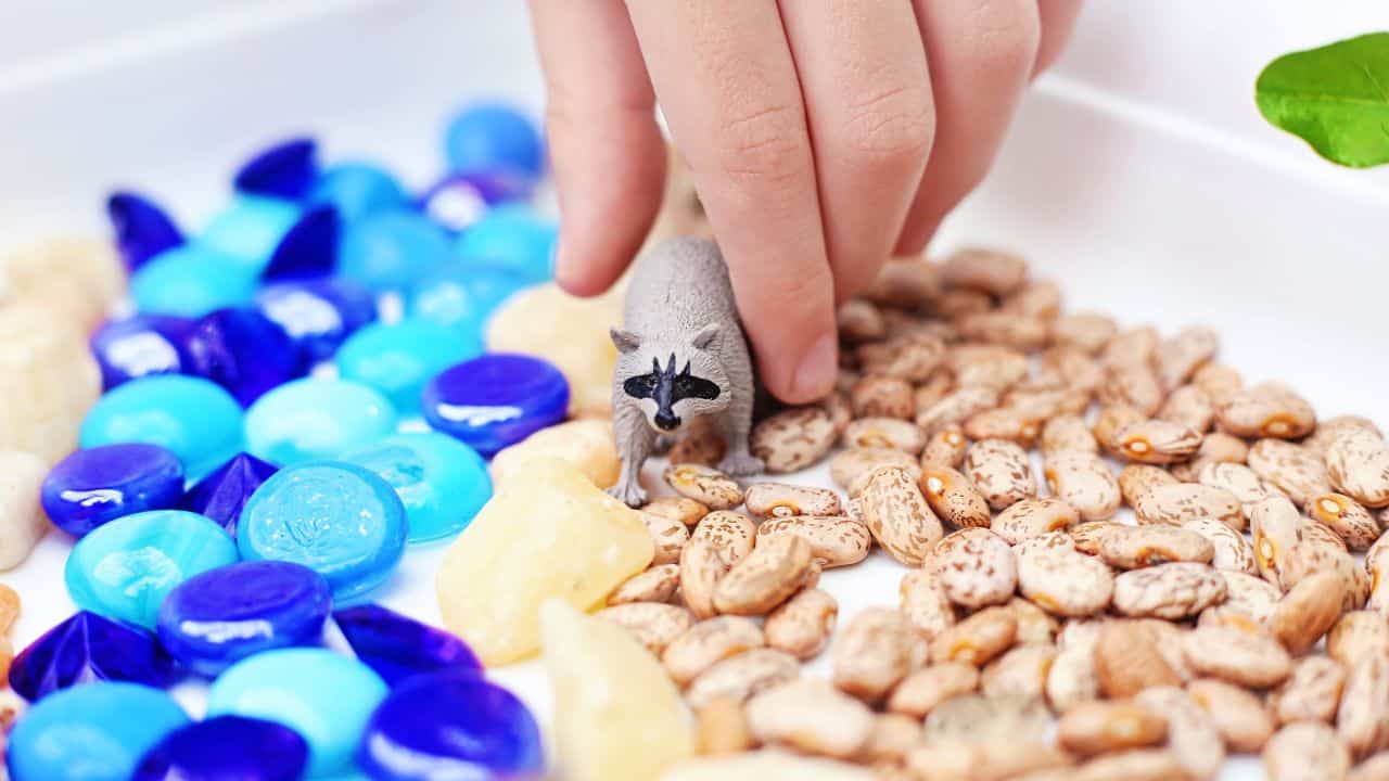 Little Hands, Big Creek Sensory Bin