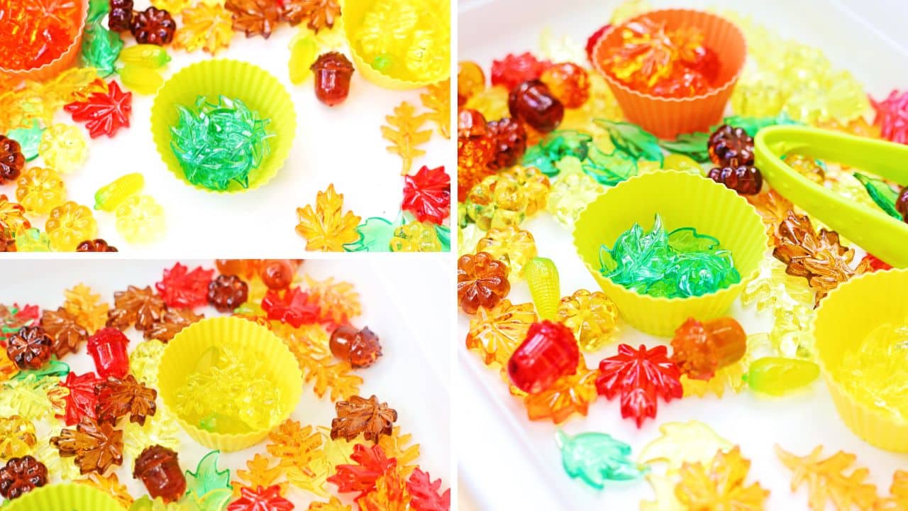 fall colors sensory bin final 2.