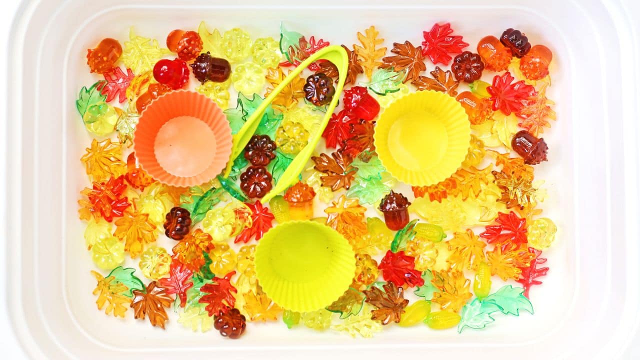 fall colors sensory bin final.