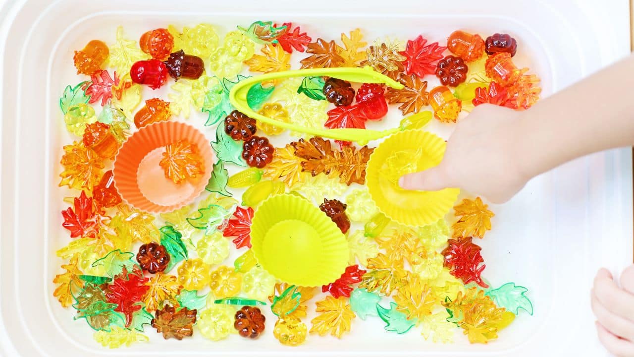 Fall Color Sort Sensory Bin: A Hands-On Way to Celebrate the Season
