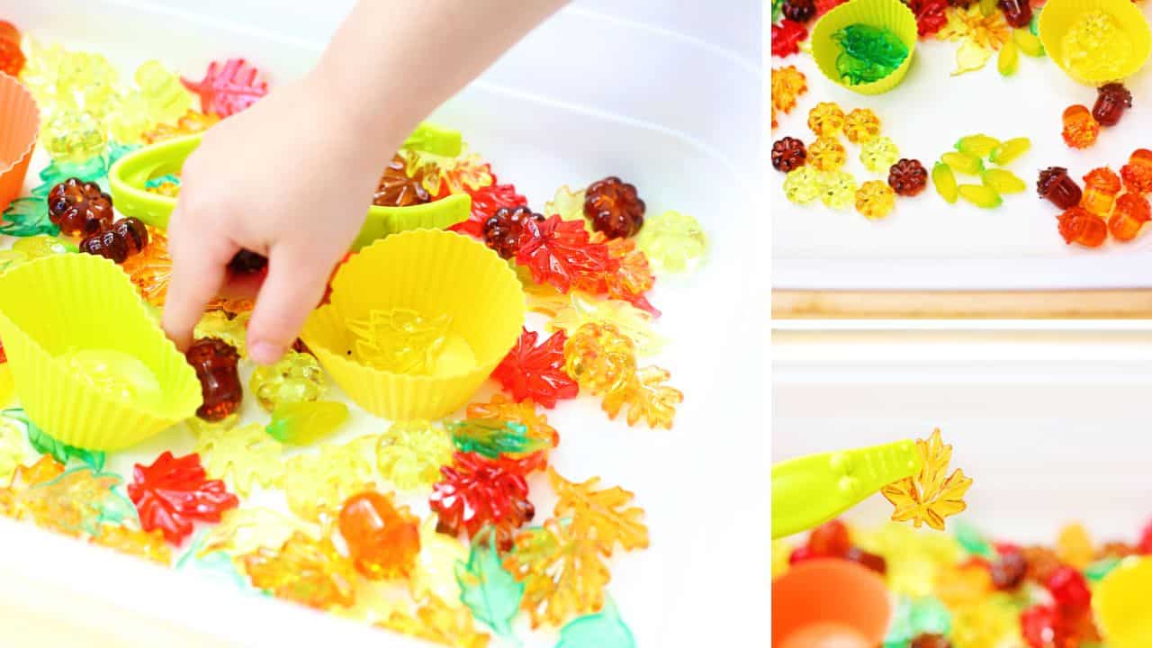 fall colors sensory bin playing.