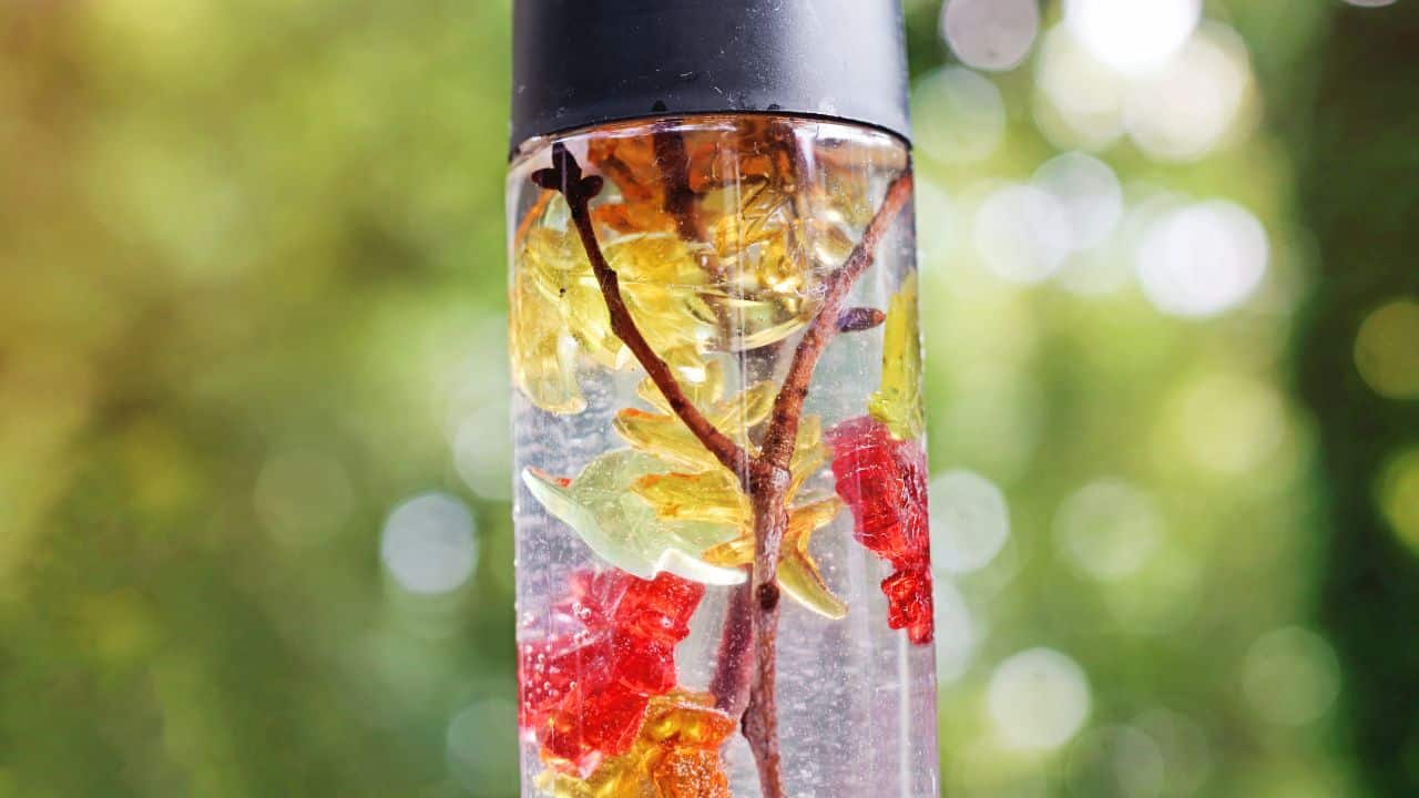 fall sensory bottle final.