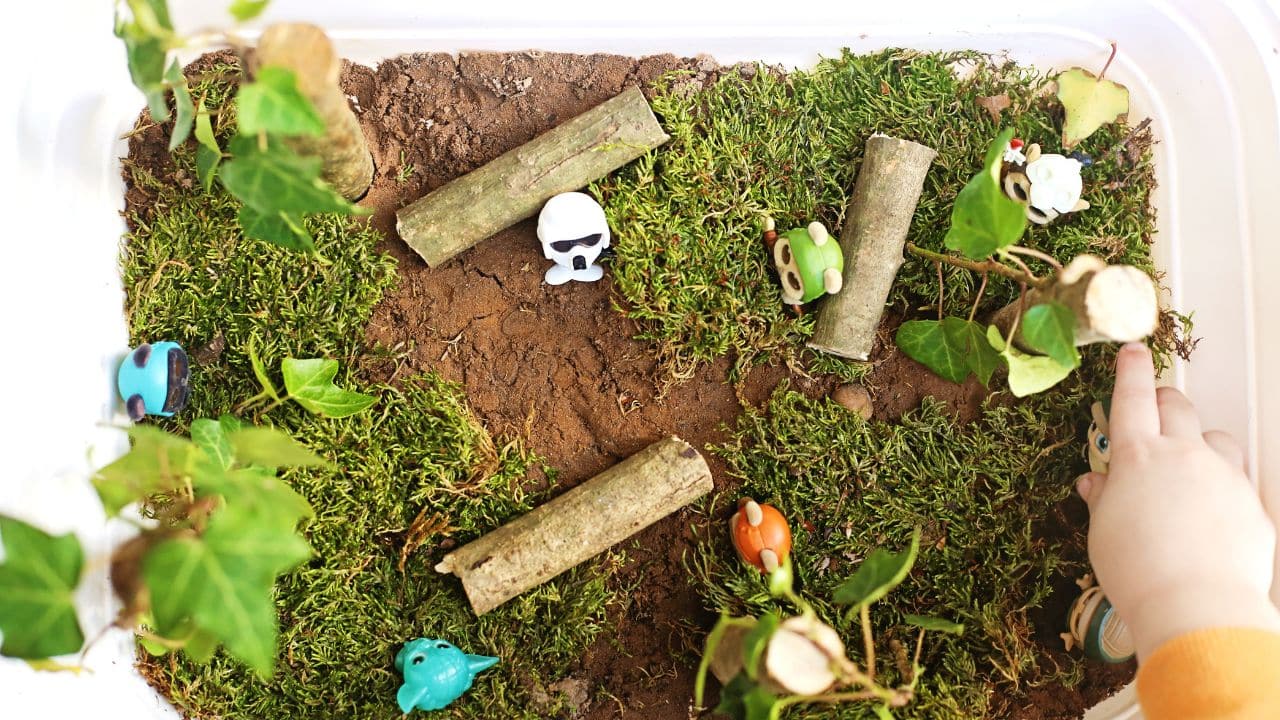 Star Wars Sensory Bin: Endor Forest Small-World Play