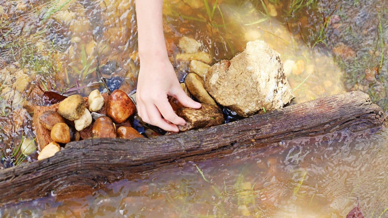 Go with the Flow: A Water Creekside STEM Adventure for Kids