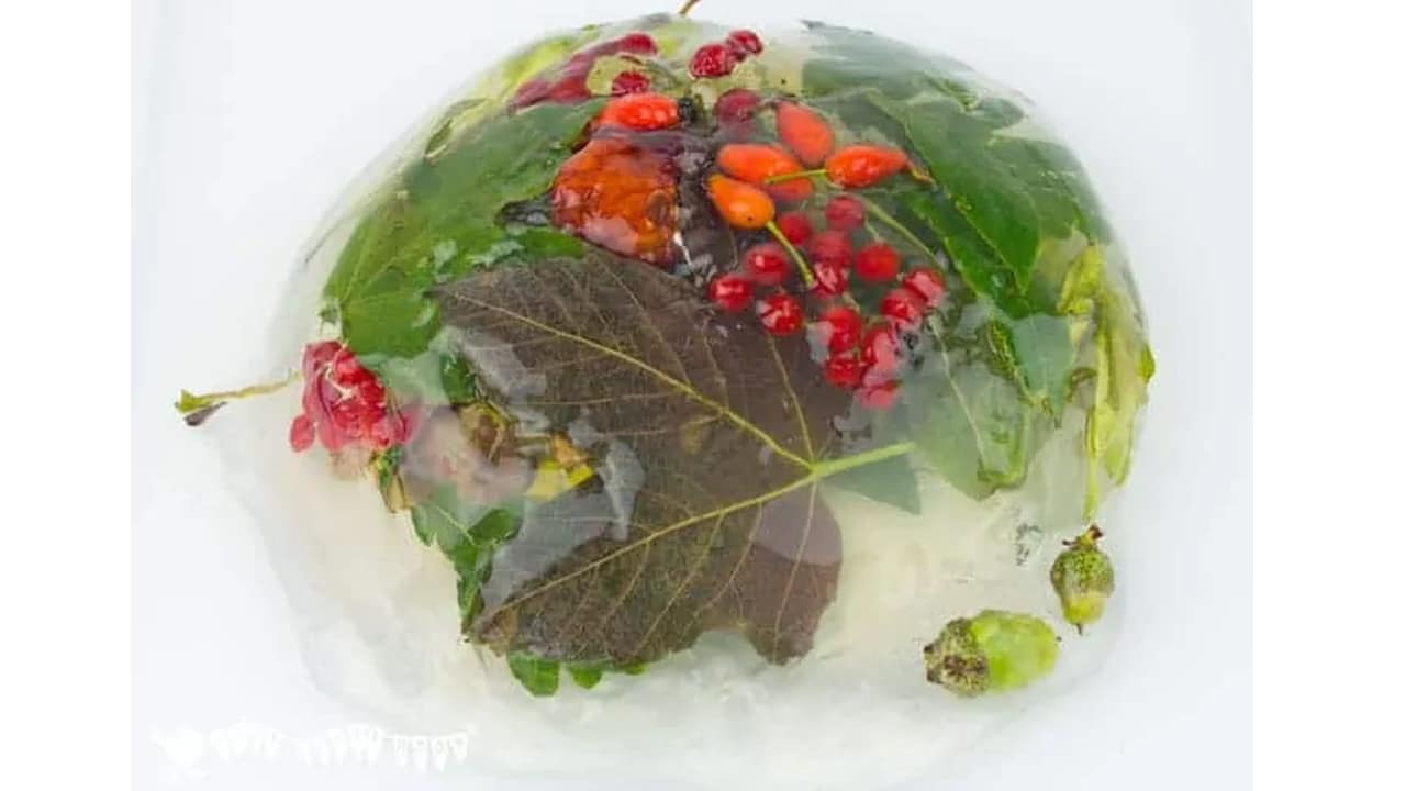 Autumn Sensory Play Gel.