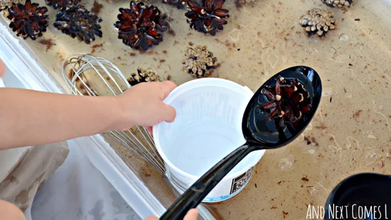 Cinnamon & Pinecone Sensory Bin.