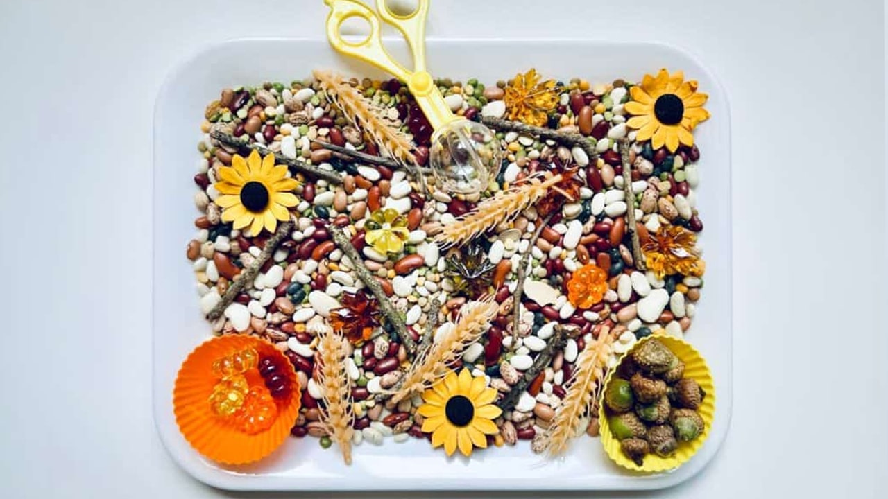 DIY Fall Harvest Sensory Bin.