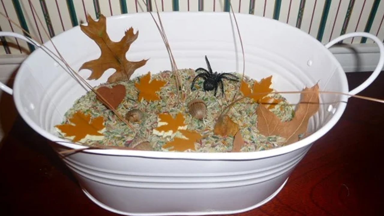 Fall Themed Sensory Tub.