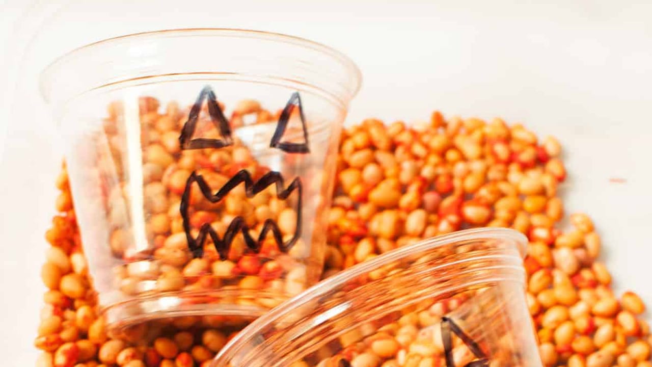 Pumpkin Sensory Bin.