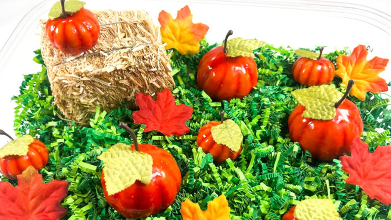 Pumpkin Sensory Bin.