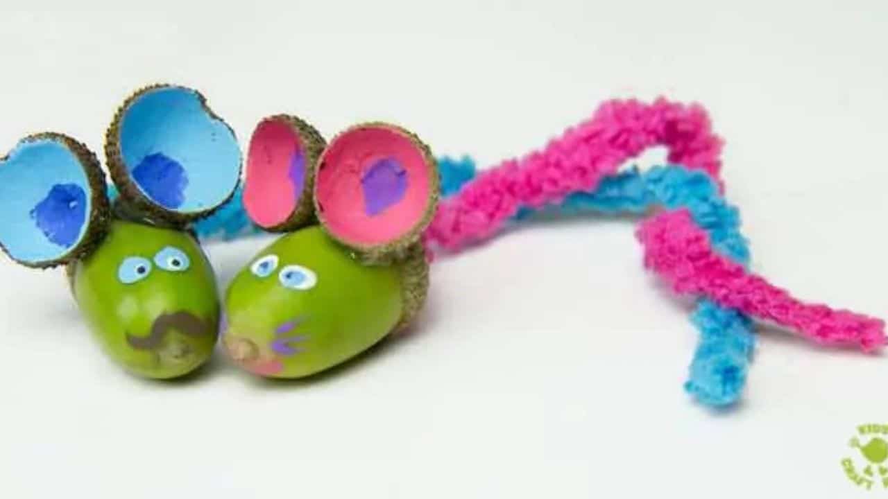 acorn mice.