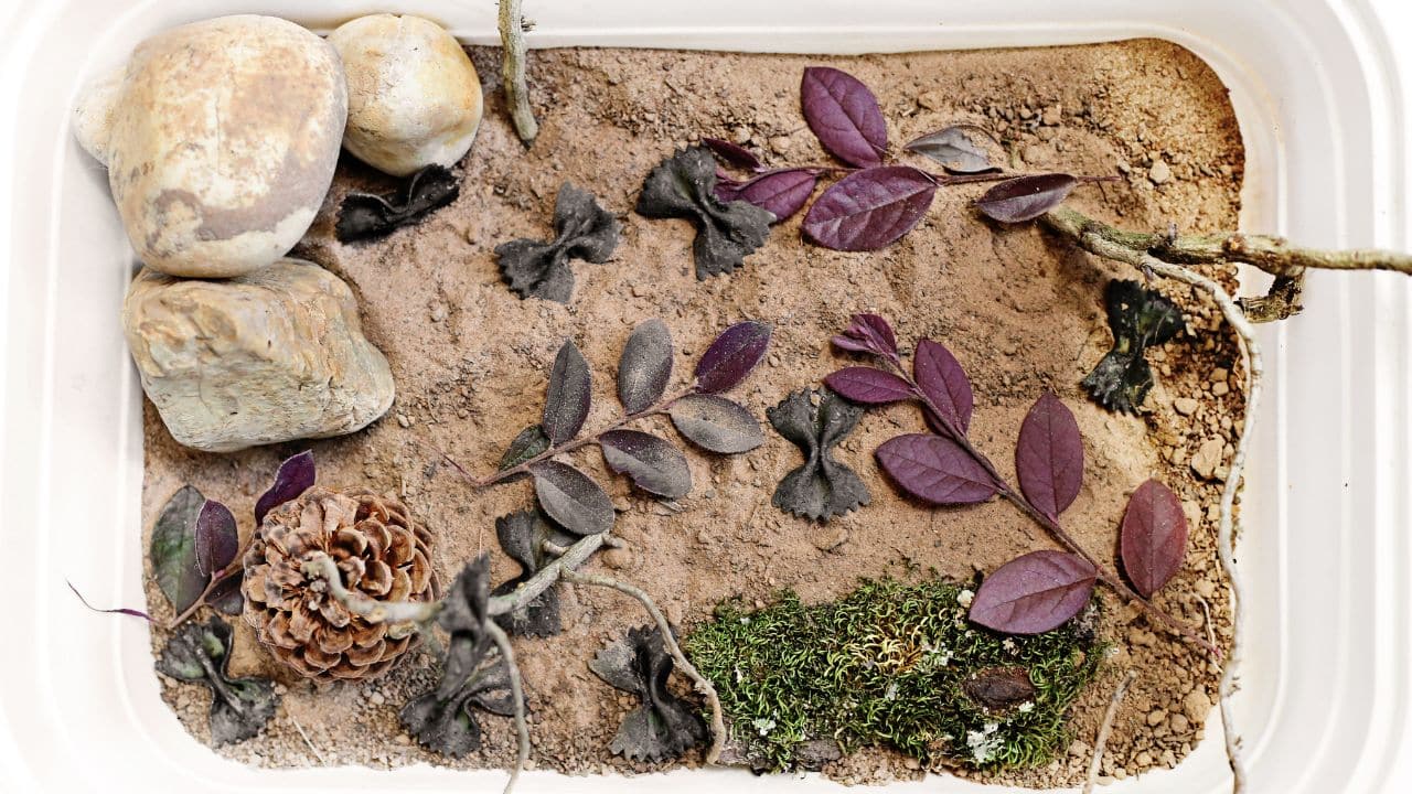 DIY Bat Cave Nature Sensory Bin for Kids