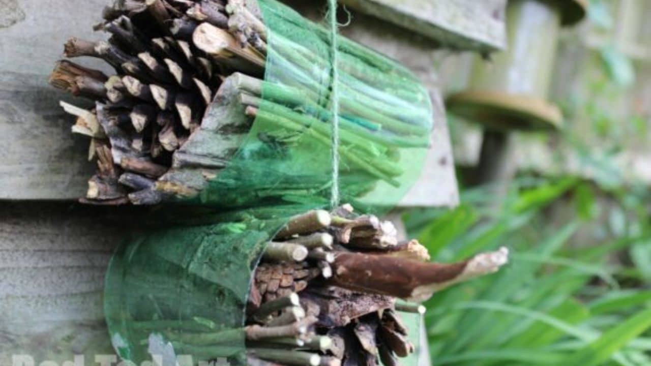 bug hotel.