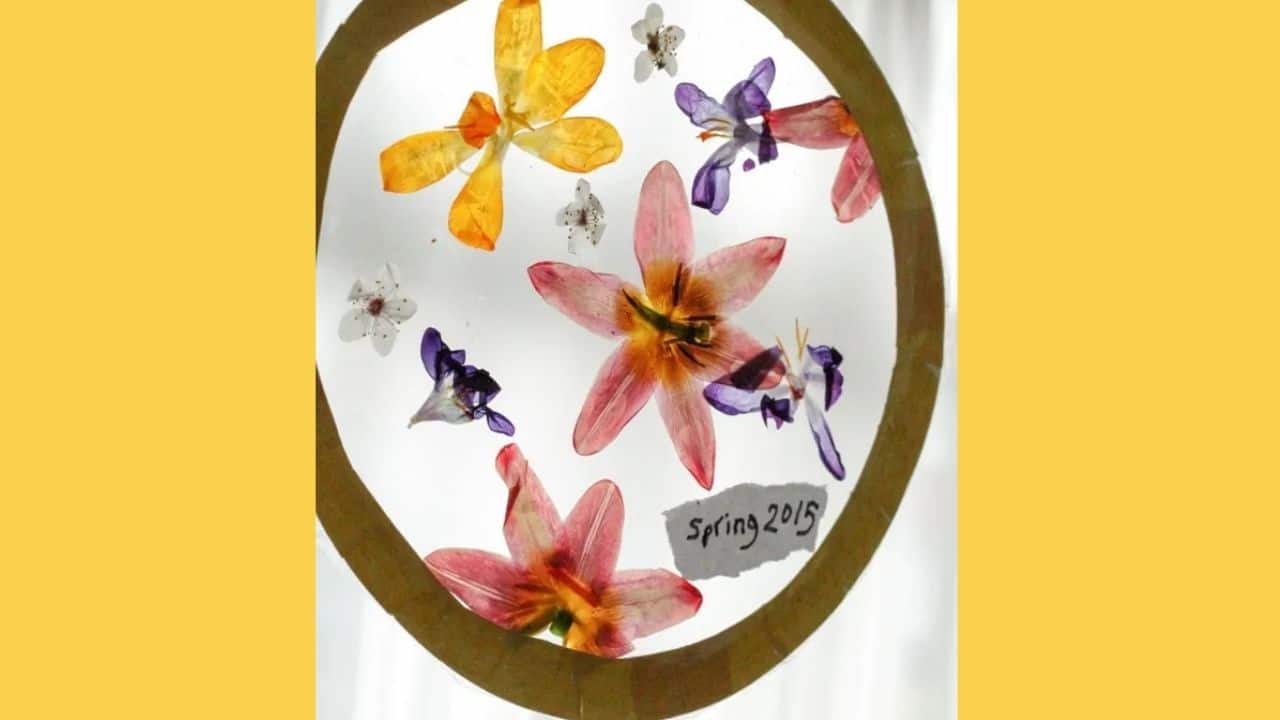 dried pressed flowers suncatcher.