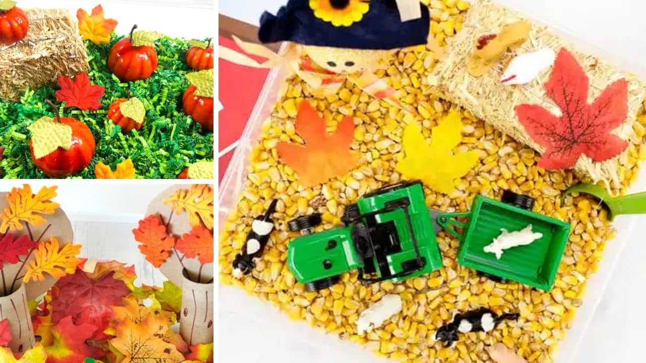 20 Fall Sensory Bin Ideas for Hands-On Autumn Fun