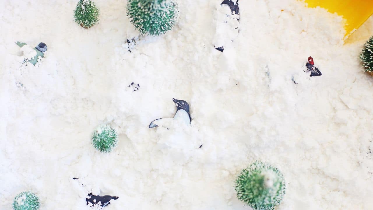 penguin rescue sensory bin final.