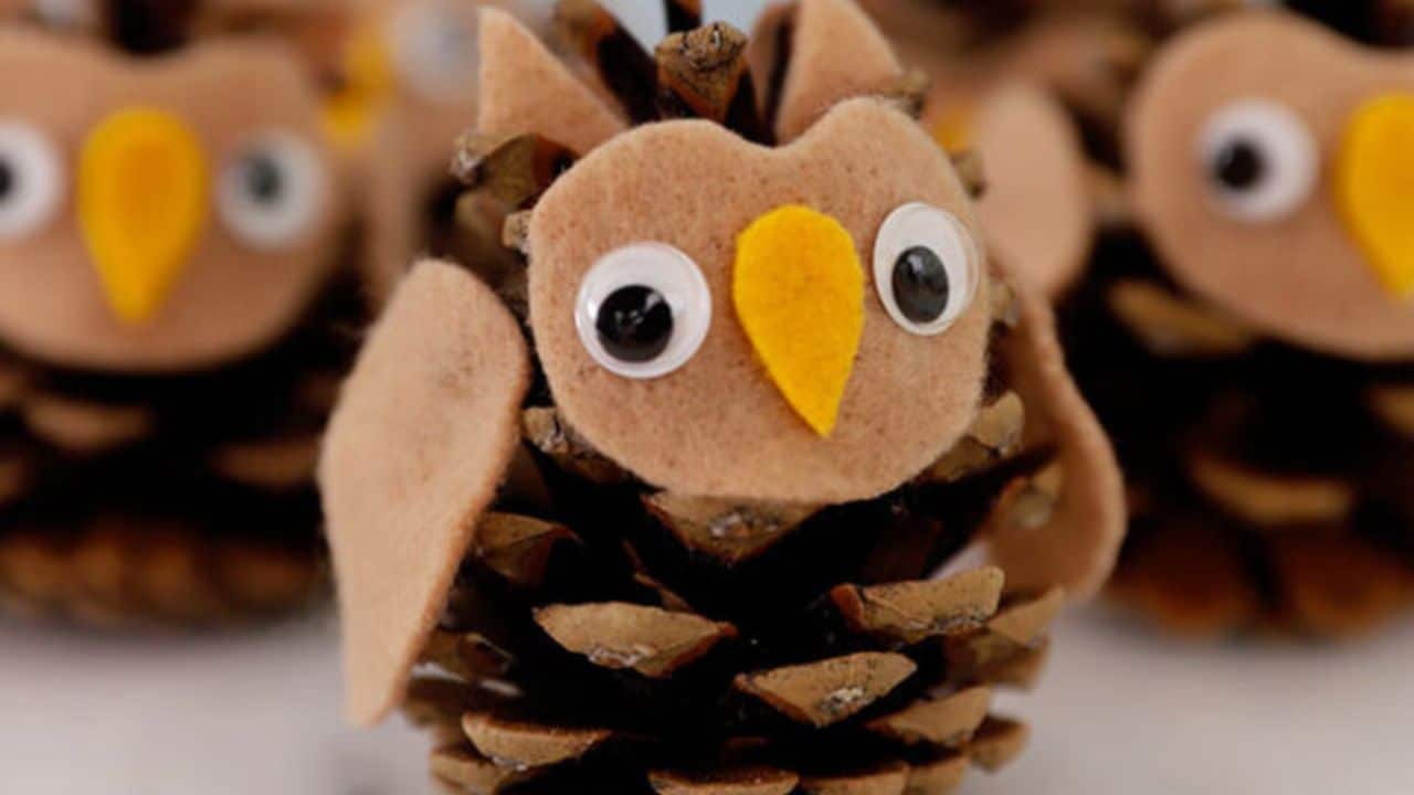 pine cone owl.