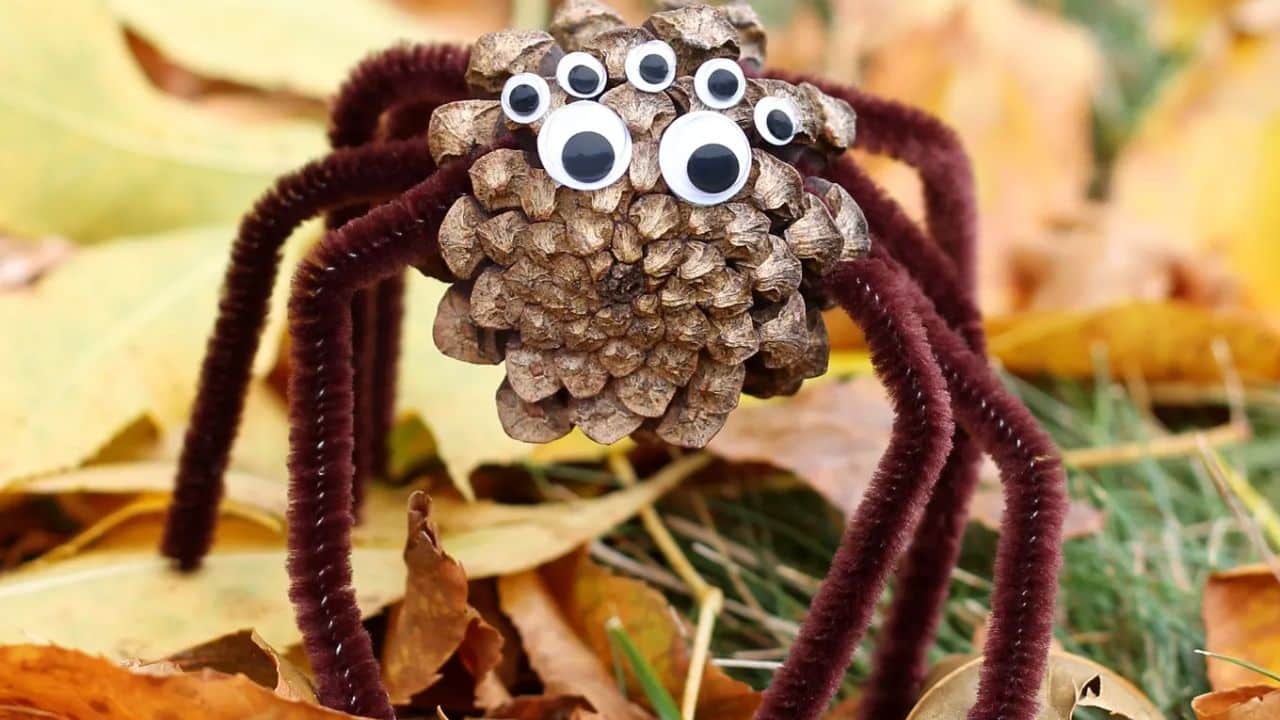 pine cone spiders.