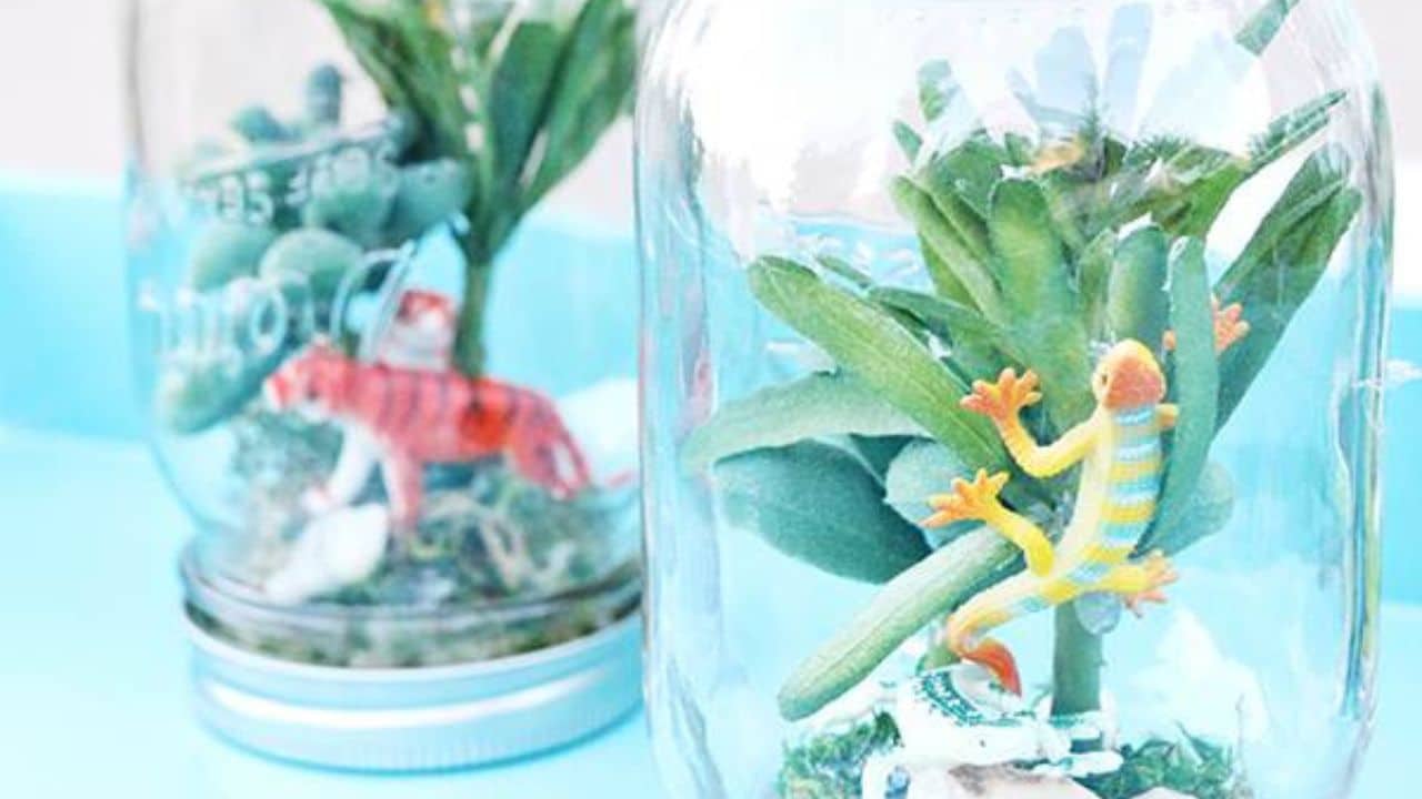rainforest in a jar.