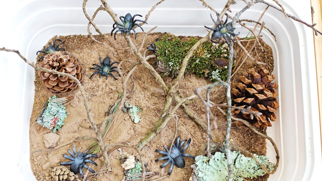 Witch’s Floor Sensory Bin